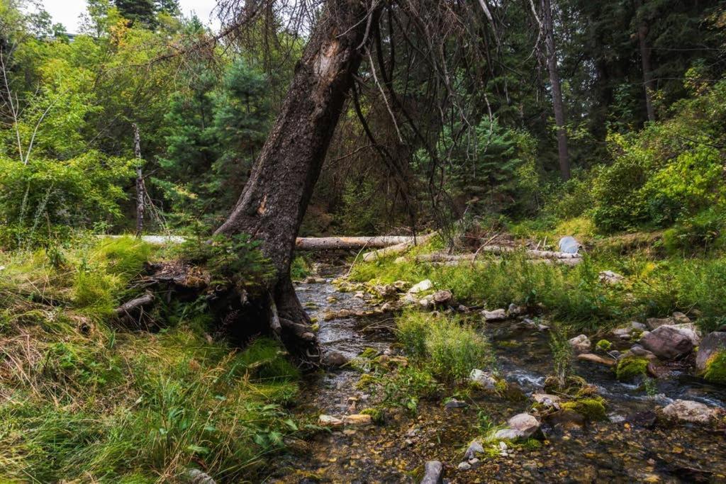 Cottage On The Stream Sundance, Utah Εξωτερικό φωτογραφία